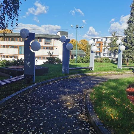 Apartment Ornament Lux Врнячка-Баня Экстерьер фото